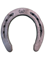 Werkman Ryder Original 19x8, pr