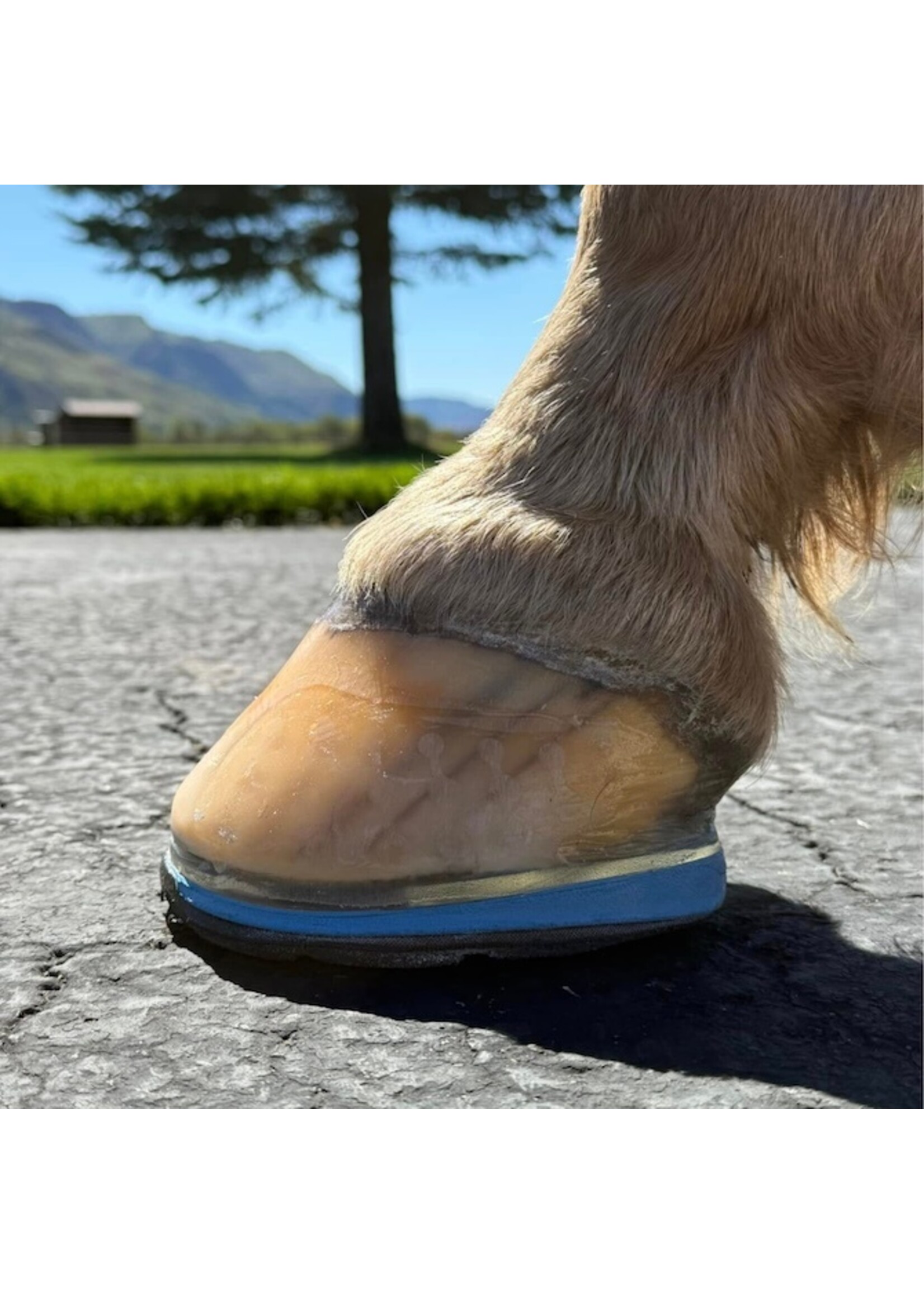 EasyCare EasyShoe Triple D