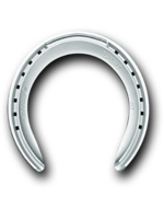 Victory Victory Sport Racing Plates