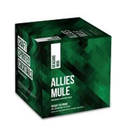 CAN MIXED DRINK Beagans Allies Mule Cans 4Pack 200ml