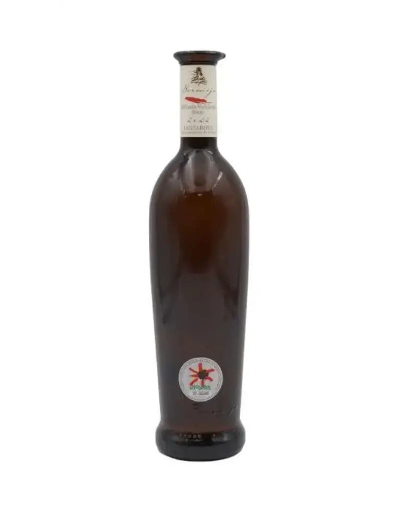 Los Bermejos Malvasia Volcanica Seco 2024