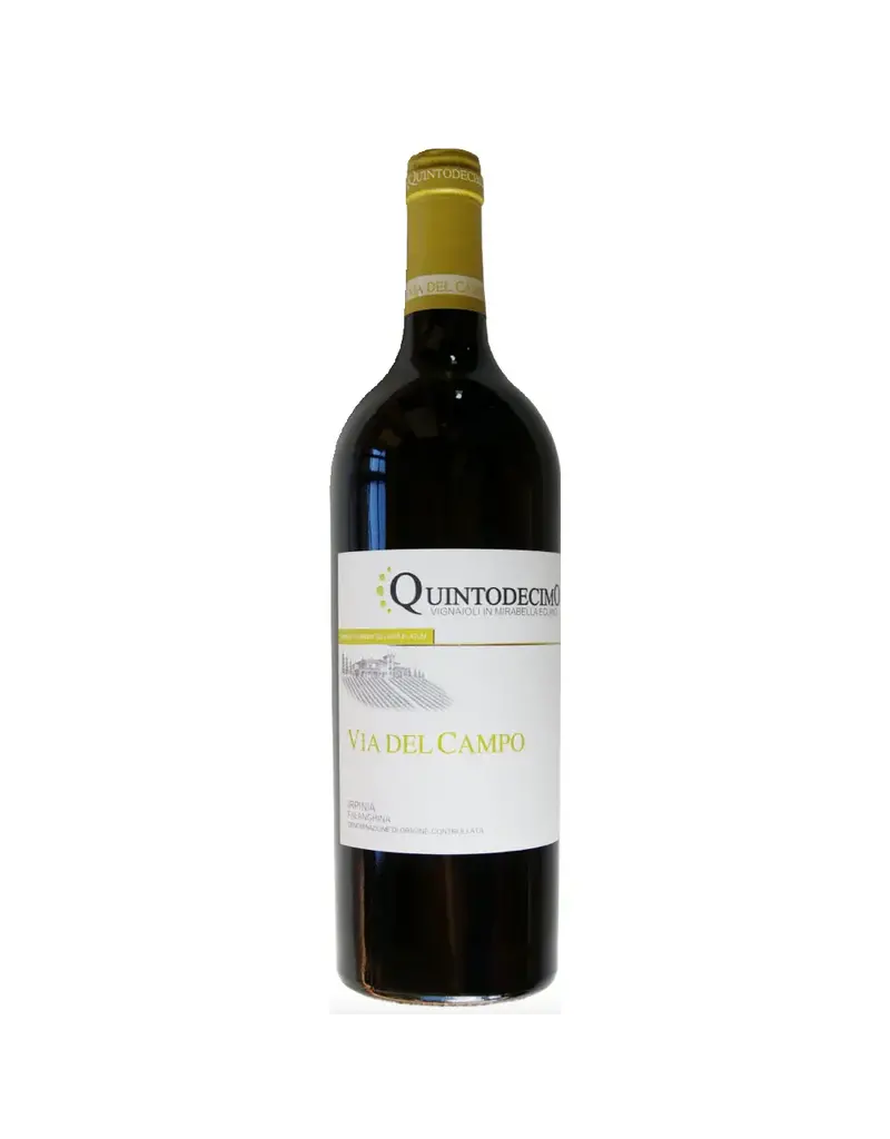 Quintodecimo Via Del Campo Irpinia Falanghina 2022 750ml