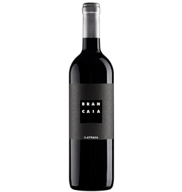 Tuscan Red Sale $69.99 Brancaia Ilatraia 2020 750ml  Reg $84.99