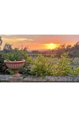 Raventos i Blanc de Nit Brut Rose 2022 750ml