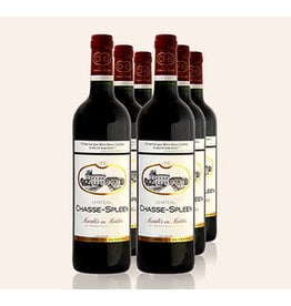 Bordeaux Red Chateau Chasse-Spleen Moulis-en-Medoc  2016 375ml