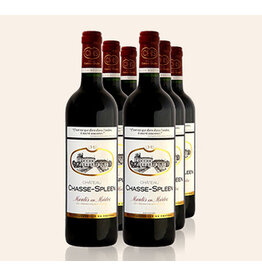 Bordeaux Red SALE $27.99 Chateau Chasse-Spleen Moulis-en-Medoc  2016 375ml