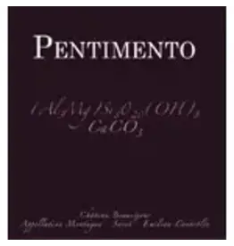 Bordeaux Red Pentimento Castillon Cotes De Bordeaux 2019 750ml