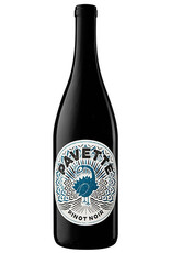 Pavette Pinot Noir 2024 750ml