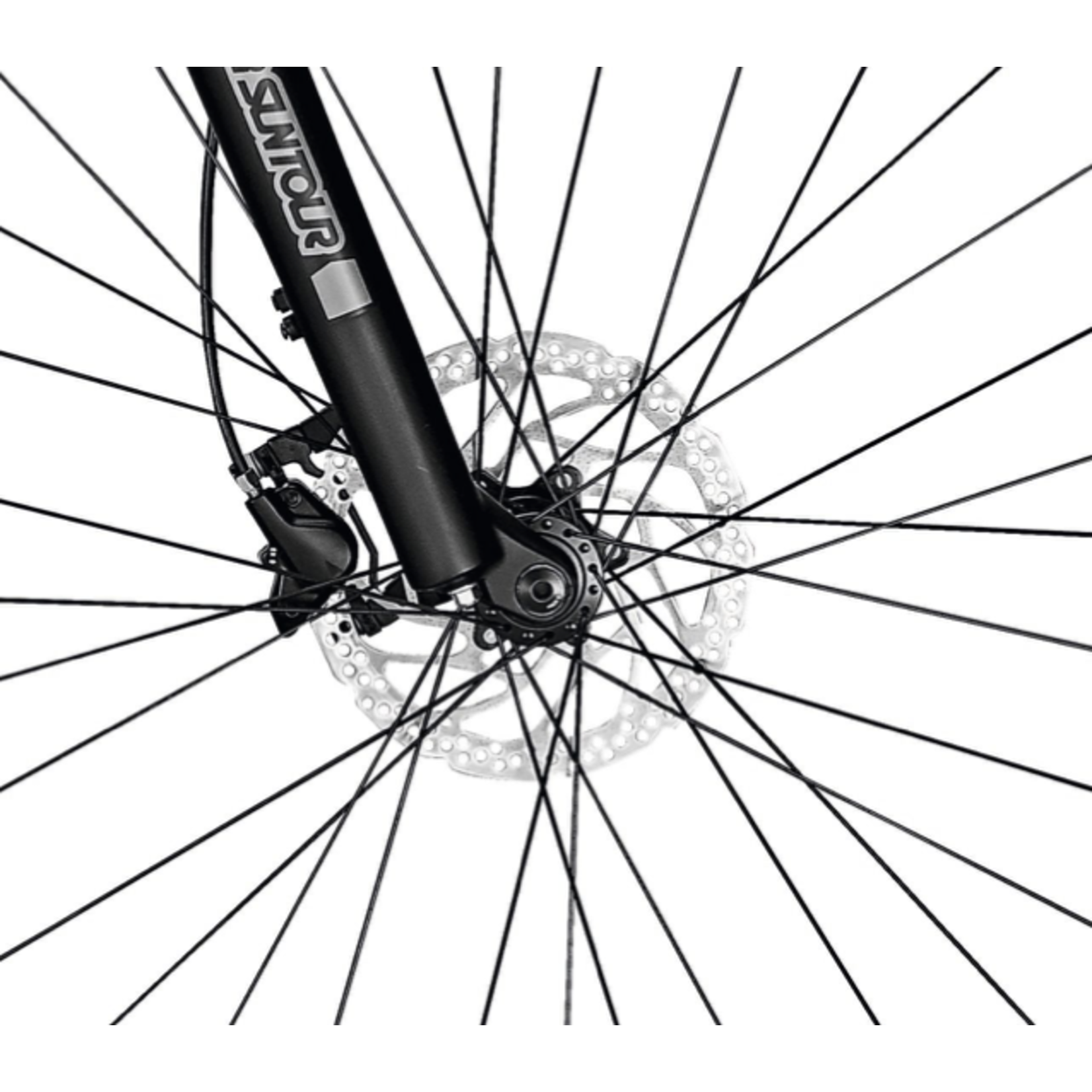 2022 Focus Jarifa 2 6.6 - Cycle House