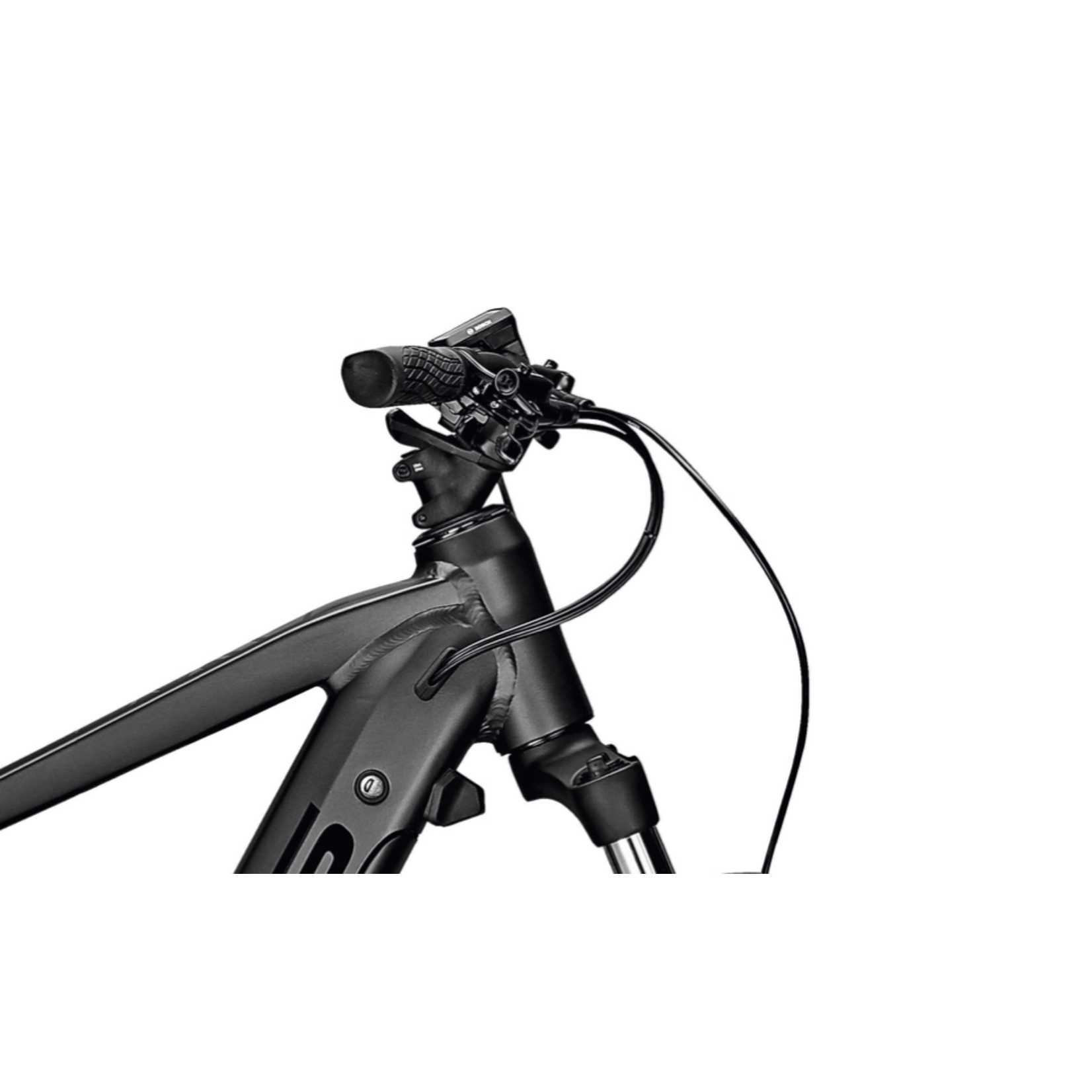 2022 Focus Jarifa 2 6.6 - Cycle House