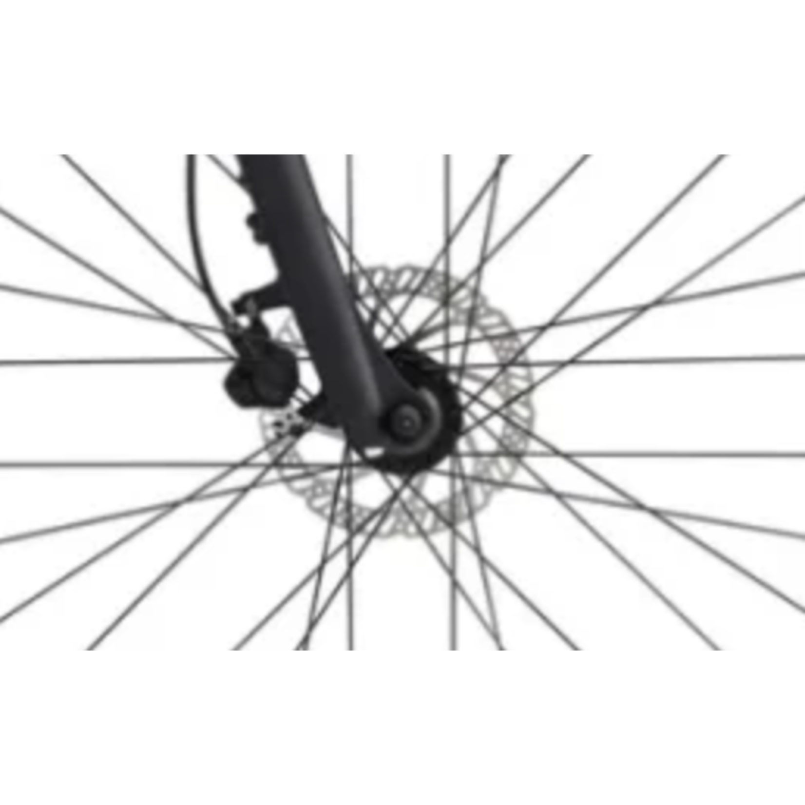 Liv Rove 4 XS Blue Ashes 2022 - Cycle House