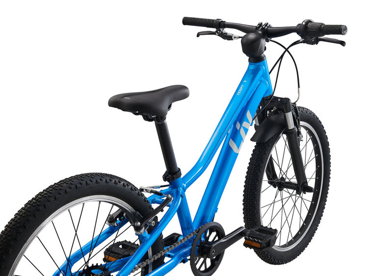 Liv Liv Tempt 20 Al Blue