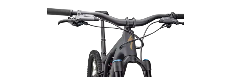 Specialized 2025 Specialized Levo Comp Alloy