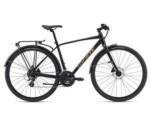 2024 Giant Cross City 2 Disc Equipped Panther - Cycle House