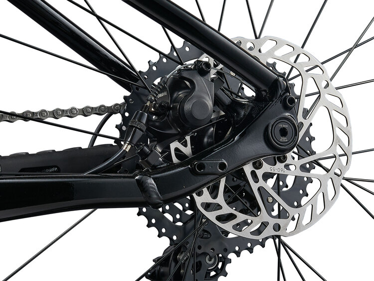 Liv 2025 Liv Tempt 4