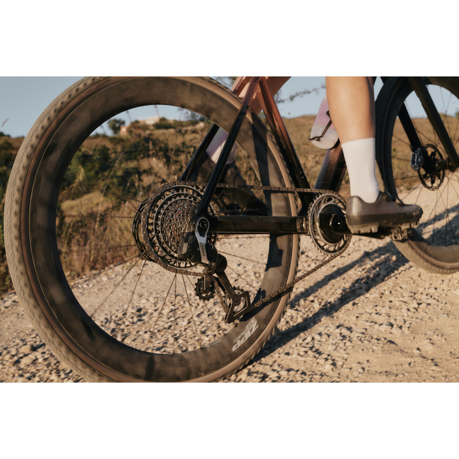 Zipp 303 XPLR SW Carbon Wheel Tubeless Disc 700C Rear - Cycle House
