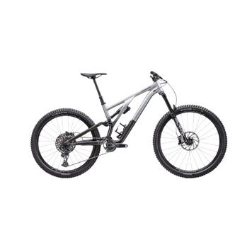 Specialized 2023 Specialized Stumpjumper Evo Elite Alloy Gloss Silver Dust / Black Tint