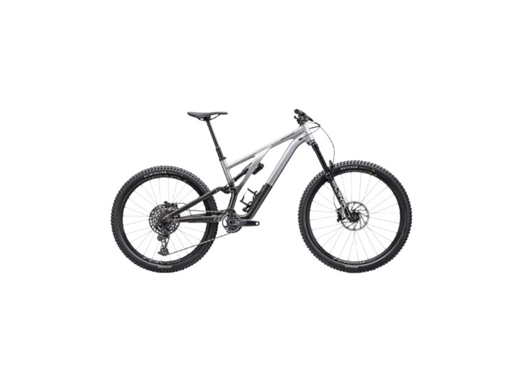 Specialized 2023 Specialized Stumpjumper Evo Elite Alloy Gloss Silver Dust / Black Tint