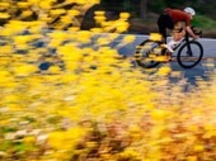 Cervelo 2025 Cervelo Caledonia-5 Force AXS