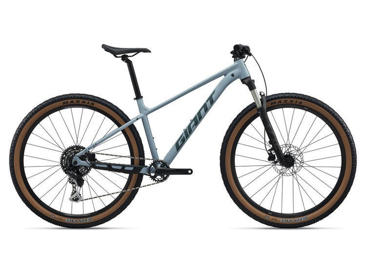 Giant 2027 Giant Talon 1 (29er)