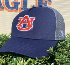 under armour mesh hat