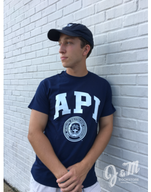 MV Sport API Comfort Color T-Shirt