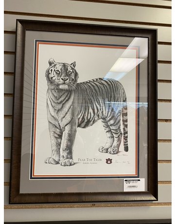Stephen Malkoff Gallery ���Tiger��� Print by Malkoff Framed