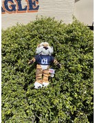 Pennington Bear Company Plush Aubie 8 inch with jersey