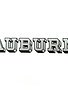 Angelus Pacific Silver Block AUBURN Decal