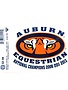 Angelus Pacific Equestrian N.C.06-11-13-Decal
