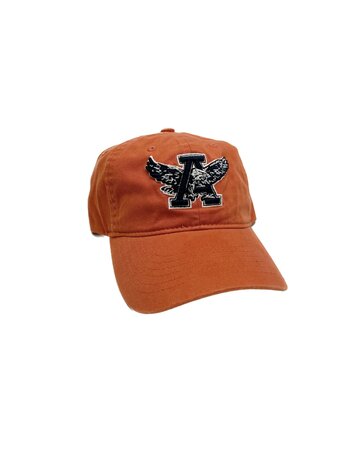 Check out Auburn Tigers logo hats for all seasons 