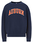 MV Sport Arch Auburn Screenprint Youth Crew