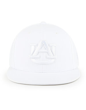 The Game AU Fitted Hat