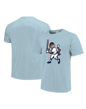 Image One Vintage Baseball Aubie T-Shirt