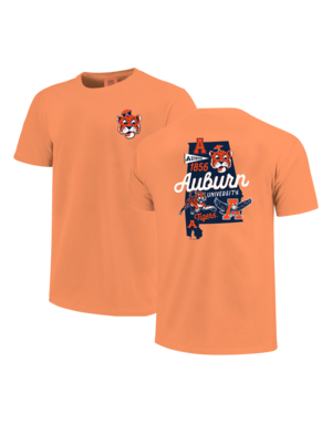 Image One Vault Logos State Youth T-Shirt