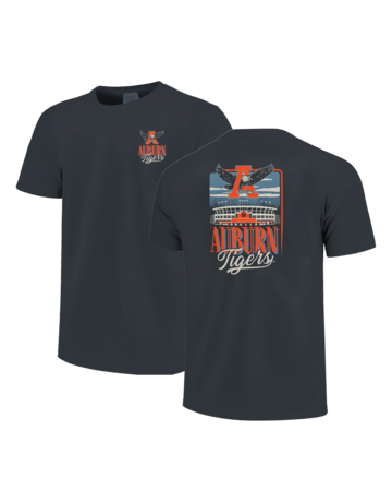 Image One Eagle Thru A Stadium Sky T-Shirt