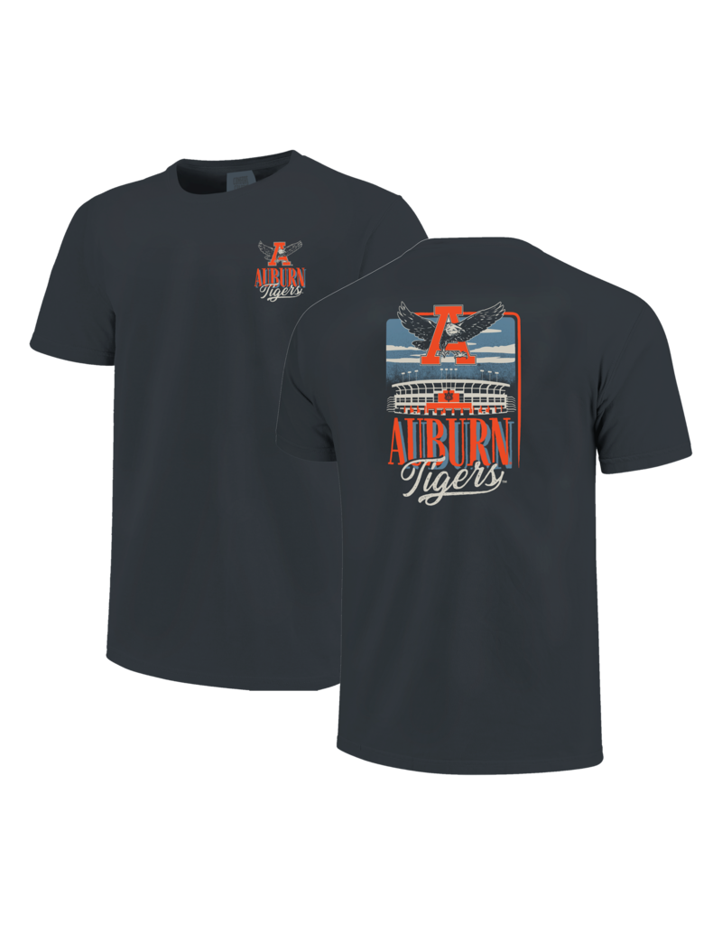 Image One Eagle Thru A Stadium Sky T-Shirt