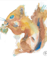 Art by LJD Watercolor Squirrel