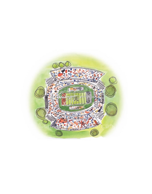 Art by LJD Aerial Jordan Hare
