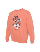 MV Sport Vintage Aubie Head Coastal Color Crew