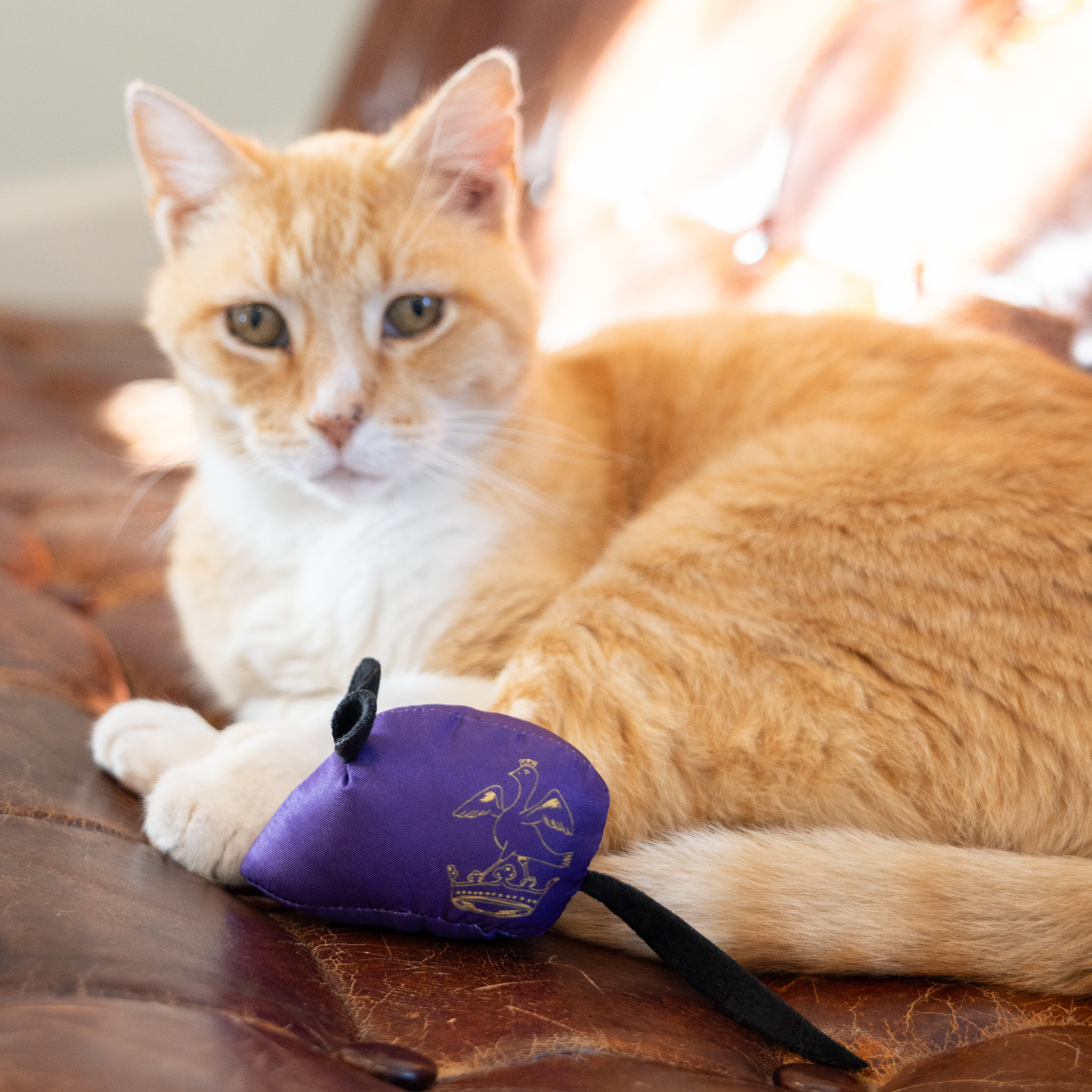 Willett Mouse Catnip Toy