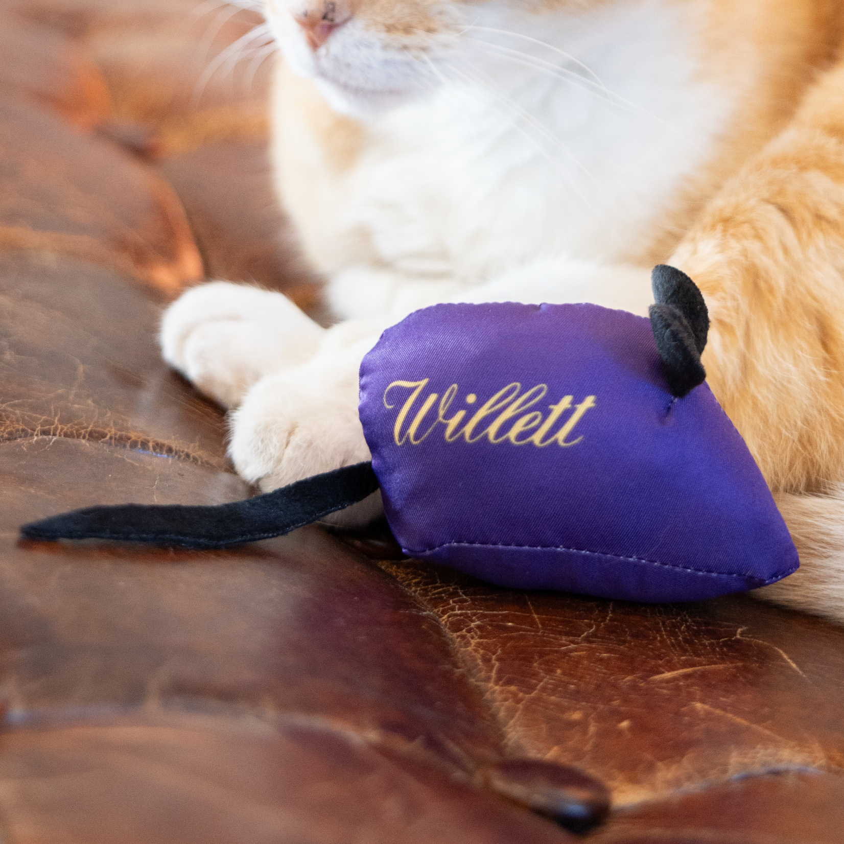 Catnip Toy