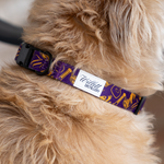 Purple and Gold Pet Collar