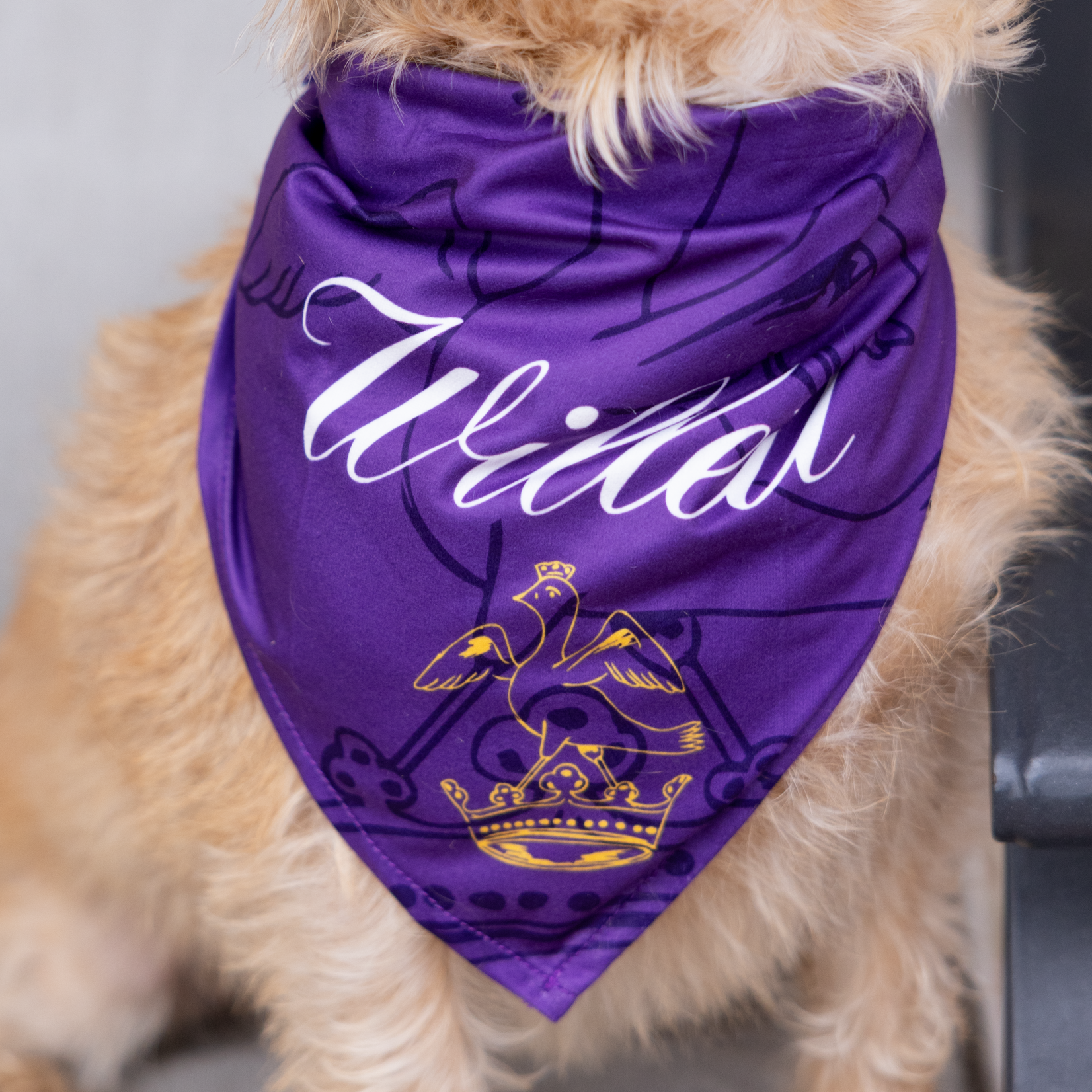 Pet Bandana