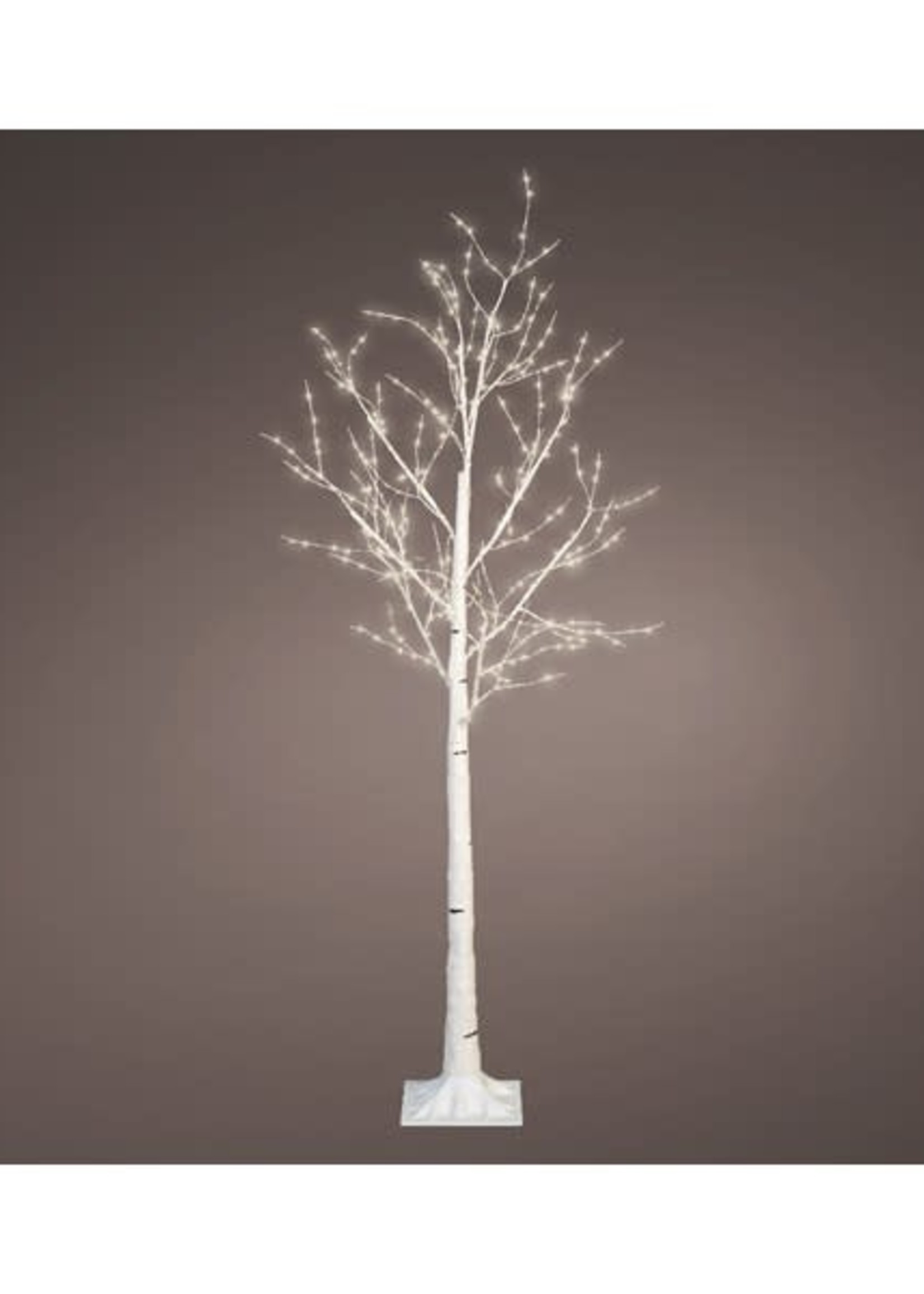 Design Decor Micro LED tree us birch steady outdoor