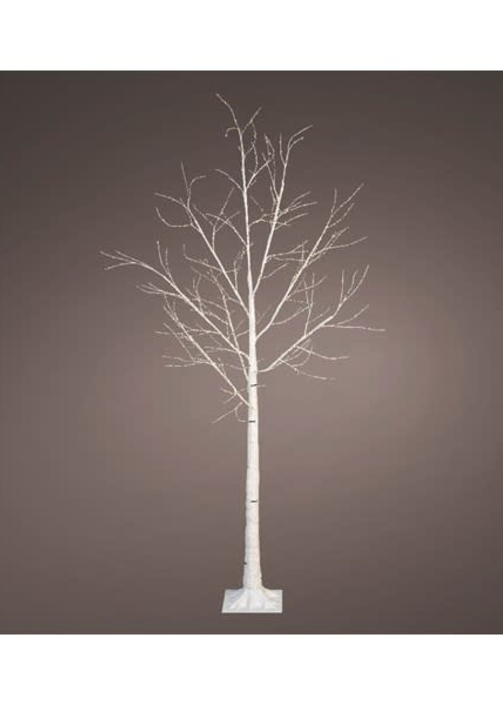 Design Decor Micro LED tree us birch steady outdoor