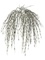 Design Decor PL. WEATHERED TWISTED GRASS 28"
