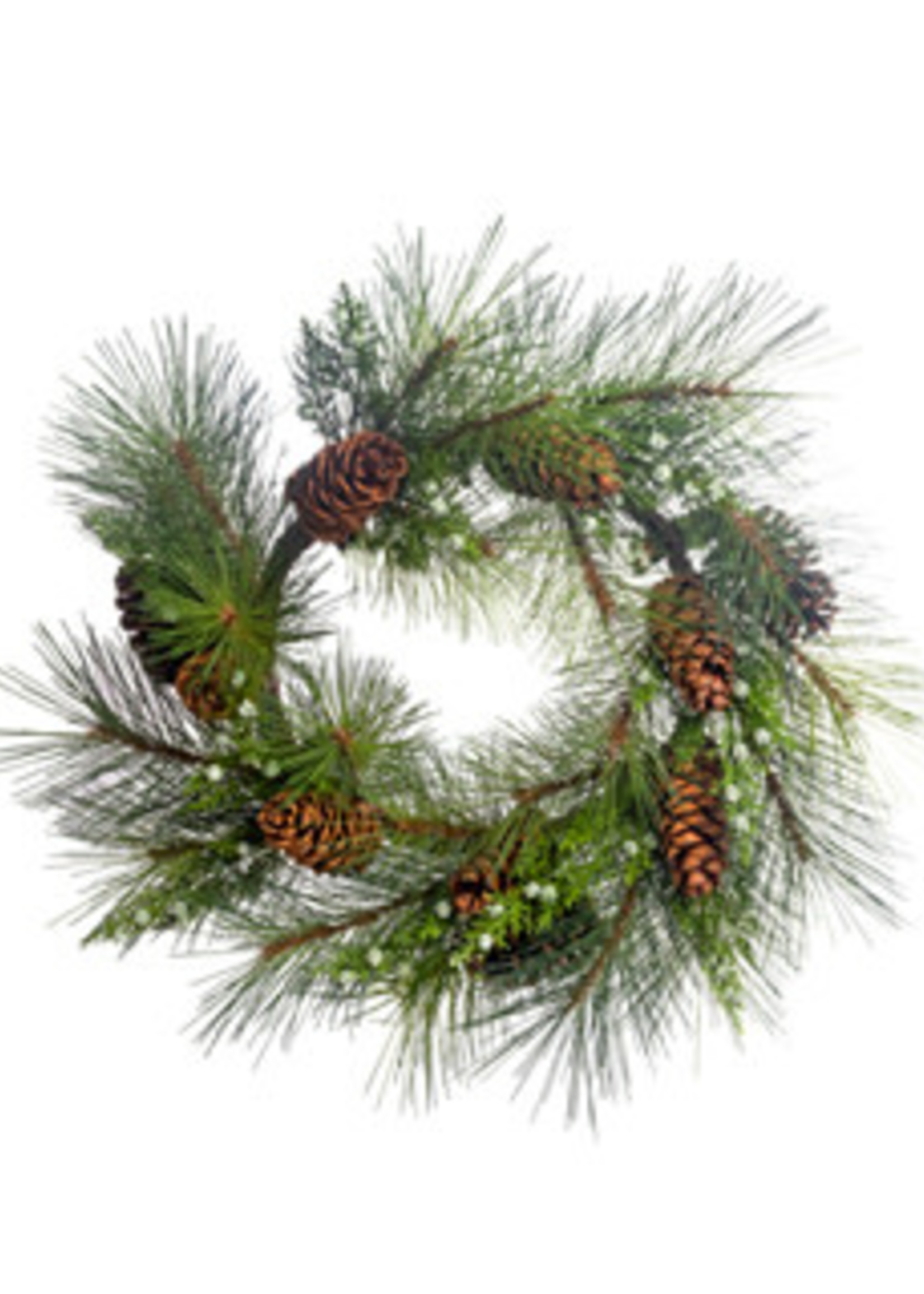 Design Decor 30" Sugar Pine Wreath