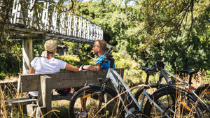 Exploring the Soaring Popularity of E-Bikes in New Zealand