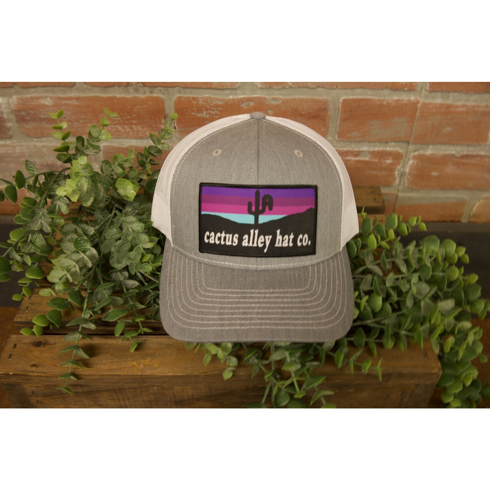 Cactus Alley Cactus Alley Chromatic Patch Snapback Hat